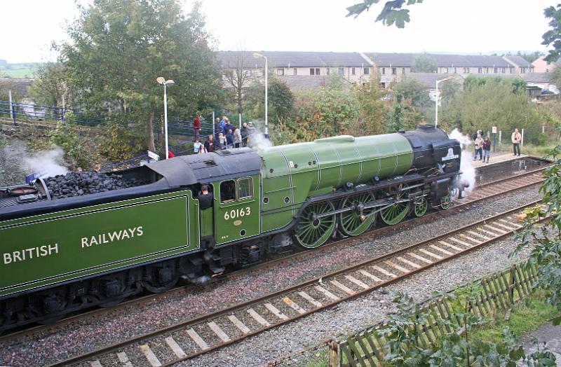 Tornado - 1.JPG - "Tornado 60163 - by "Gavin Dewar" The last of the renowned Peppercorn class 'A1' steam locomotives was scrapped in 1966, but  a brand new 'A1', No. 60163 Tornado, has been brought to life by the A1 Steam Locomotive Trust  ( www.a1steam.com ) - seen here at Long Preston on 4th Oct 2009.